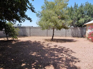 023-587781 - Backyard 2