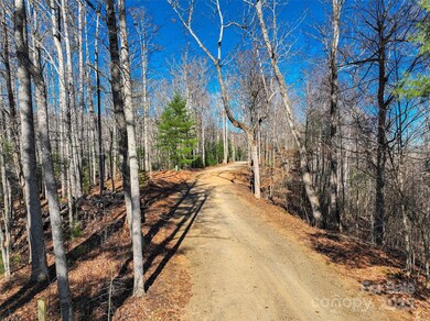 00000 High Peak Ridge unit 10, Green Mountain, NC 28740 - photo 2