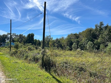 Lot 3 Hope Ln, Pass Christian, MS 39571 - photo 3