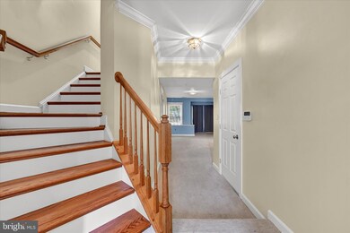 5904 Fox Glen Ct, Elkridge, MD 21075 - photo 3