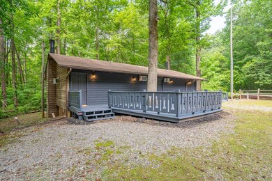 3573 Georgia 356, Sautee Nacoochee, GA 30571 - photo 6