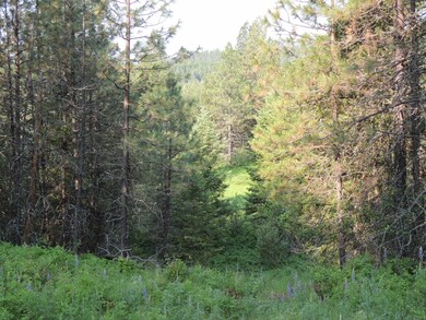 DSCN3779