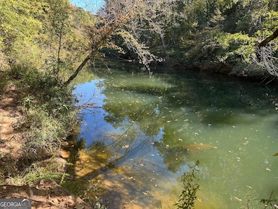 401 Towaliga Trail, Forsyth, GA 31029 - photo 2