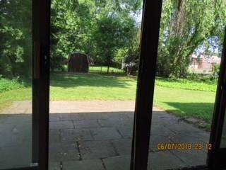 Back yard