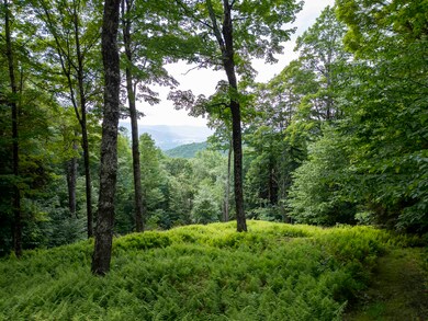 0 Center Fayston Rd, Waitsfield, VT 05673 - photo 3