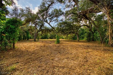 14221 River Rd, Fort Myers, FL 33905 - photo 4