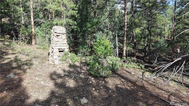 33476 La Plata Ln, Pine Junction Area, CO 80470 - photo 7