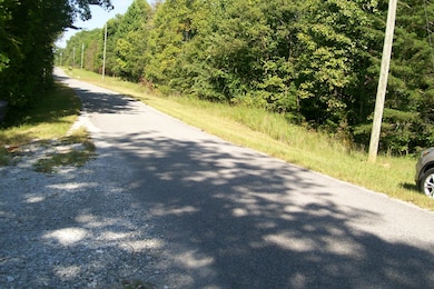 815 Eagle Nest Rd, McMinnville, TN 37110 - photo 3