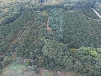 DJI_0267
