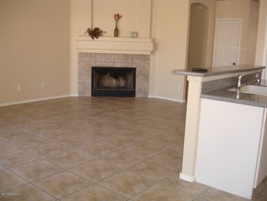 Family Room and Fireplace