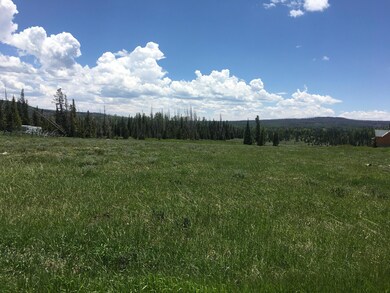 The Property