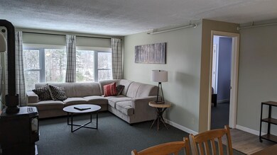 230 Mountainside Dr unit D201, Stowe, VT 05672 - photo 2