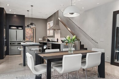 1180 Dale Ave unit 2, Aspen, CO 81611 - photo 2