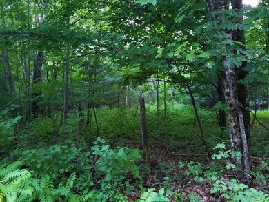 20190829_190623 (Copy)