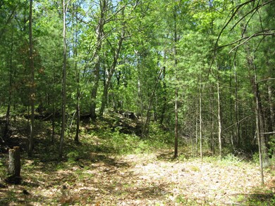 Parcel 2 Frenchtown Rd, Milford, PA 18337 - photo 7