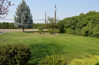 Front Yard