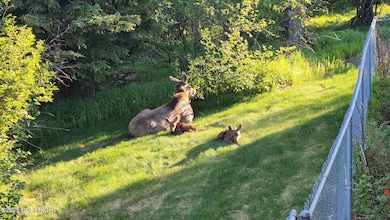 6801 Teresa Cir, Anchorage, AK 99516 - photo 3