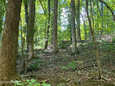 0 Cove Pointe Rd unit 1305790, Lafollette, TN 37766 - photo 3