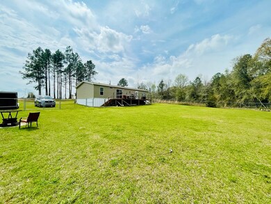 3460 Ernest Pridgen Rd, Wray, GA 31798 - photo 3