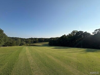 5752 Treebrook Dr, Hillsboro, MO 63050 - photo 4