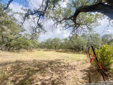 TBD County Road 6813, Natalia, TX 78059 - photo 5