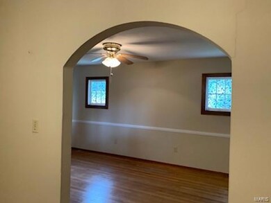 313 S Belleville St, Freeburg, IL 62243 - photo 7