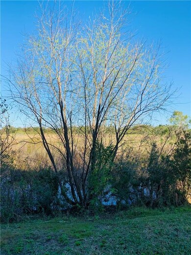 6852 Breezy Palm Dr, Riverview, FL 33578 - photo 4