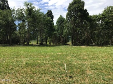 7 Laws Rd, Greeneville, TN 37743 - photo 2