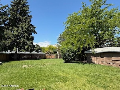 back yard