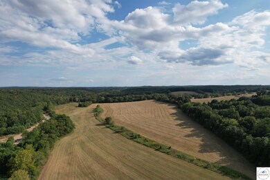 442 Tavern Creek Rd, Iberia, MO 65486 - photo 4