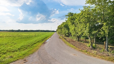 Lot 4 Farm To Market Road 985, Ennis, TX 75119 - photo 3