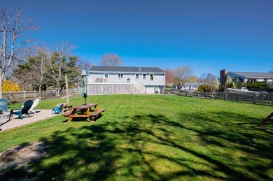 _DSC7491