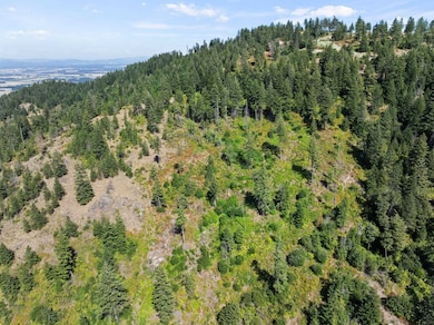 6671 Blueridge Way, Deer Park, WA 99006 - photo 4