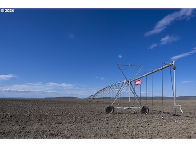 60664 Anderson Valley Rd, Princeton, OR 97721 - photo 6