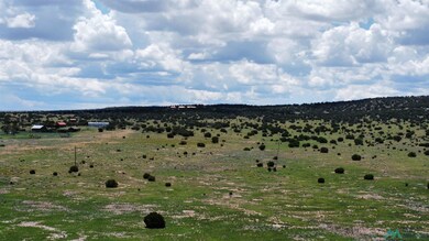 Lot 145 Quail Rd, Quemado, NM 87829 - photo 4