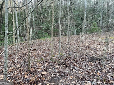 4 Villa Weg, Helen, GA 30545 - photo 4