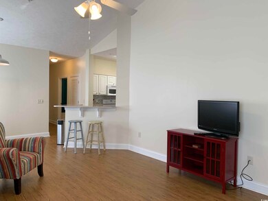 911 Algonquin Dr unit Pawleys Pavilion 911, Pawleys Island, SC 29585 - photo 6