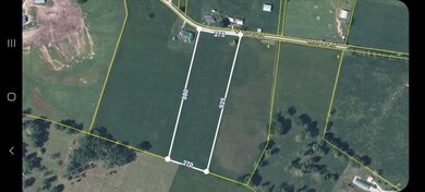 5.65 Acres Morgan Rd, Rutledge, TN 37861 - photo 6