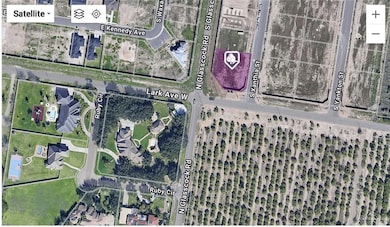 1421 S Xanthia St, Alton, TX 78573 - photo 3