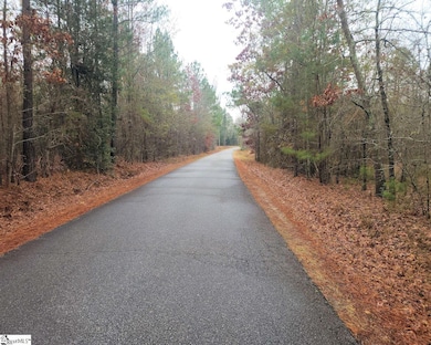 0 Scott Ln, Pelzer, SC 29669 - photo 2