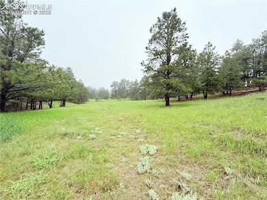 View of yard featuring a view of countryside