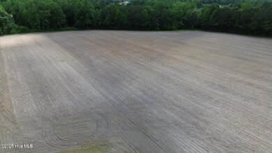 2045 Dolph Lewis Rd, Cerro Gordo, NC 28430 - photo 6