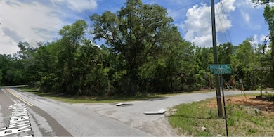 8643 N Bachelor Button Way, Crystal River, FL 34428 - photo 3