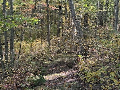 XXX Deep Lake Rd, Madge, WI 54870 - photo 6