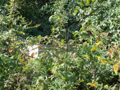 21 50 Acs Smith Chapel Rd, Cookeville, TN 38501 - photo 5