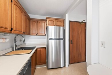 Kenwood Isles unit 303, Minneapolis, MN 55408 - photo 4