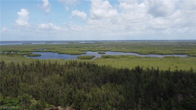 5499 Easy St, Pine Island Center, FL 33922 - photo 6