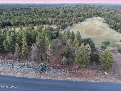 3400 Sage Ln, Show Low, AZ 85901 - photo 2