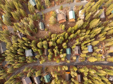 6303 Tamarack Way, Soda Springs, CA 95728 - photo 3