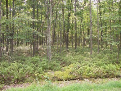 LOT 91 Lakeview Cir, Lackawaxen Township, PA 18428 - photo 2